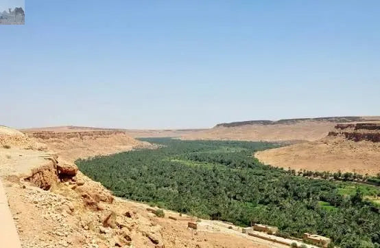 From Marrakech 2 Days Desert trip back to Fes or Marrakech 