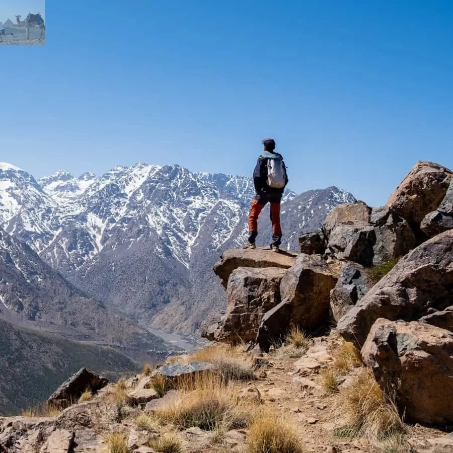 From Marrakesh Atlas Mountains Talamrout Summit Day Hike