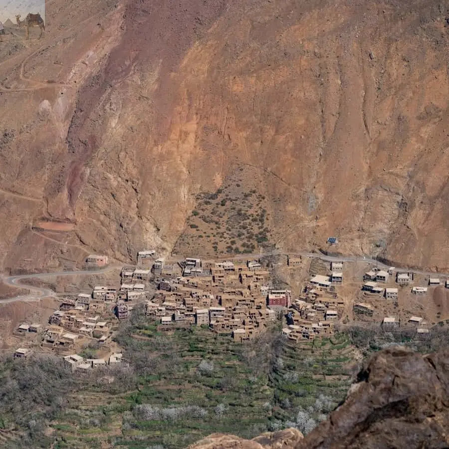 From Marrakesh Atlas Mountains Talamrout Summit Day Hike 