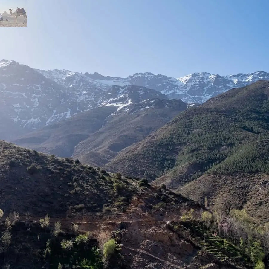 From Marrakesh Atlas Mountains Talamrout Summit Day Hike 