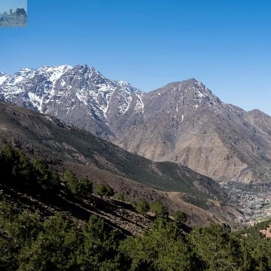 From Marrakesh Atlas Mountains Talamrout Summit Day Hike 