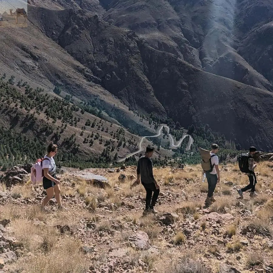 From Marrakesh Atlas Mountains Talamrout Summit Day Hike 