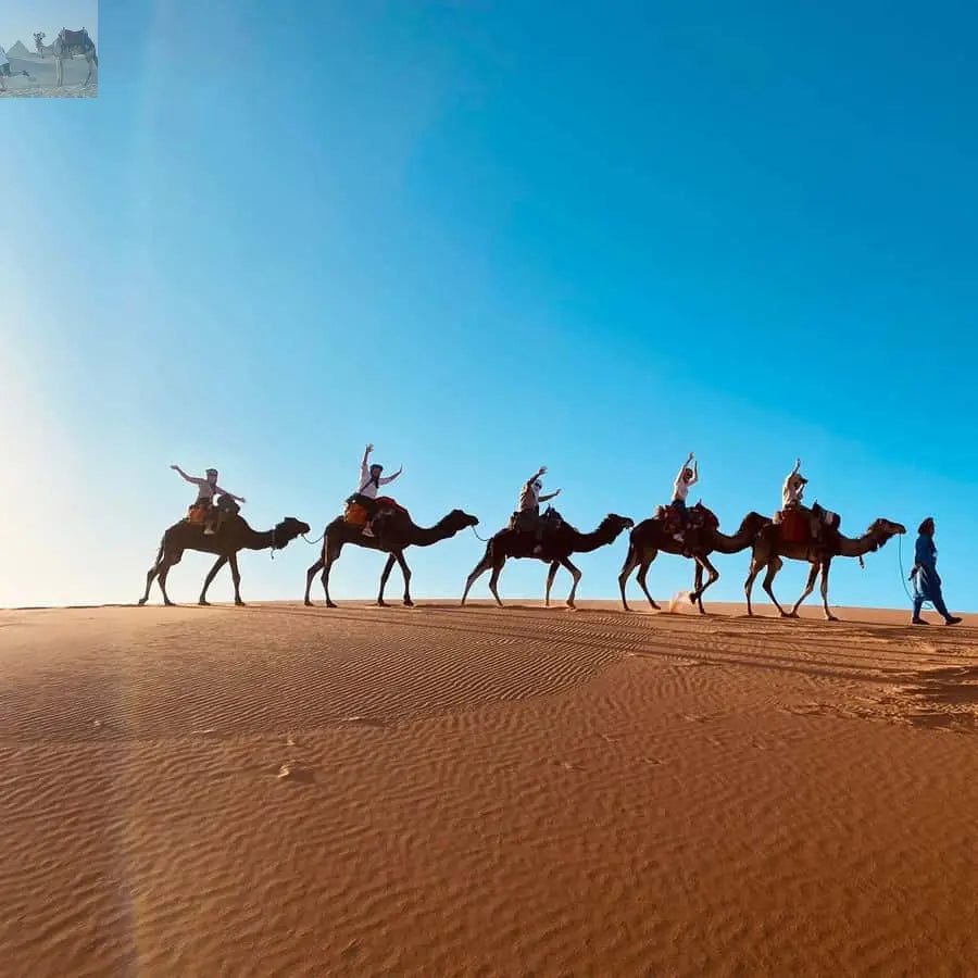 How much does a Merzouga desert tour cost
