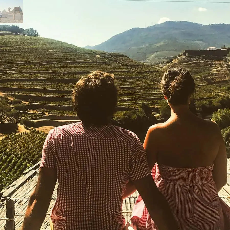 From Porto Douro Valley w Boat Tour Wine Tasting & Lunch 