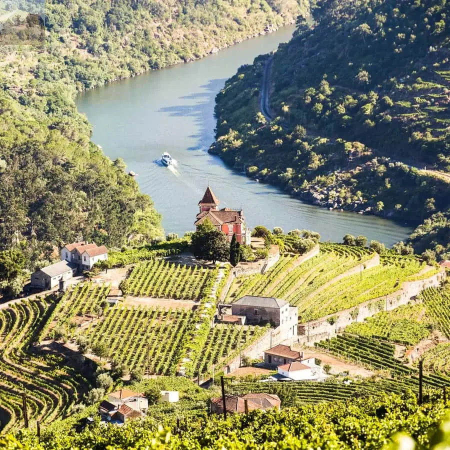 From Porto Douro Valley w Boat Tour Wine Tasting & Lunch 