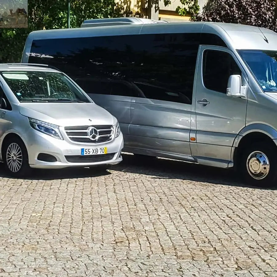 From Porto Douro Valley w Boat Tour Wine Tasting & Lunch 