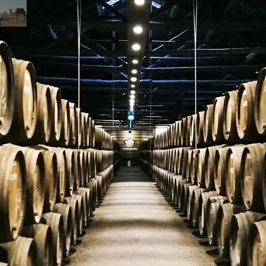 From Porto Douro Valley w Boat Tour Wine Tasting & Lunch 