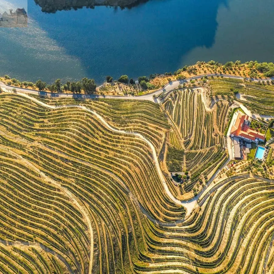 From Porto Douro Valley w Boat Tour Wine Tasting & Lunch 