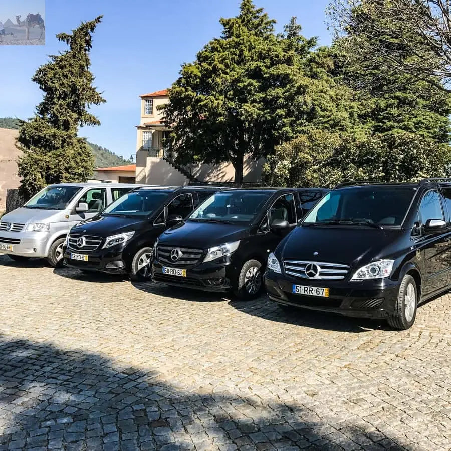 From Porto Douro Valley w Boat Tour Wine Tasting & Lunch 