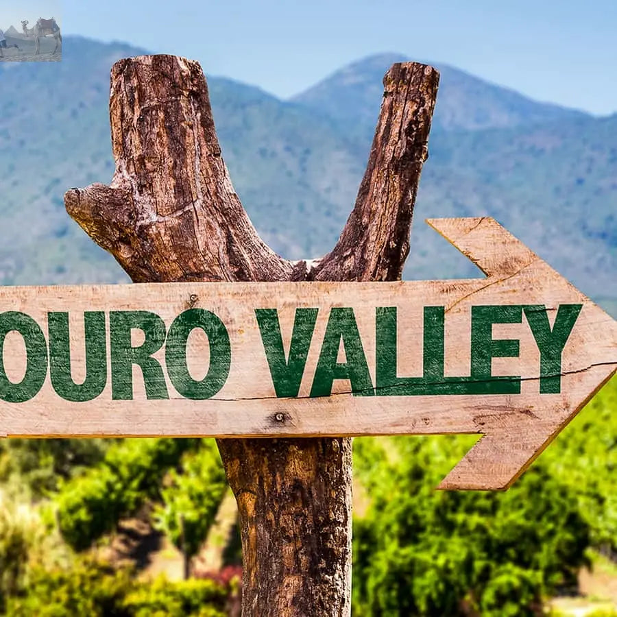 From Porto Douro Valley w Boat Tour Wine Tasting & Lunch 