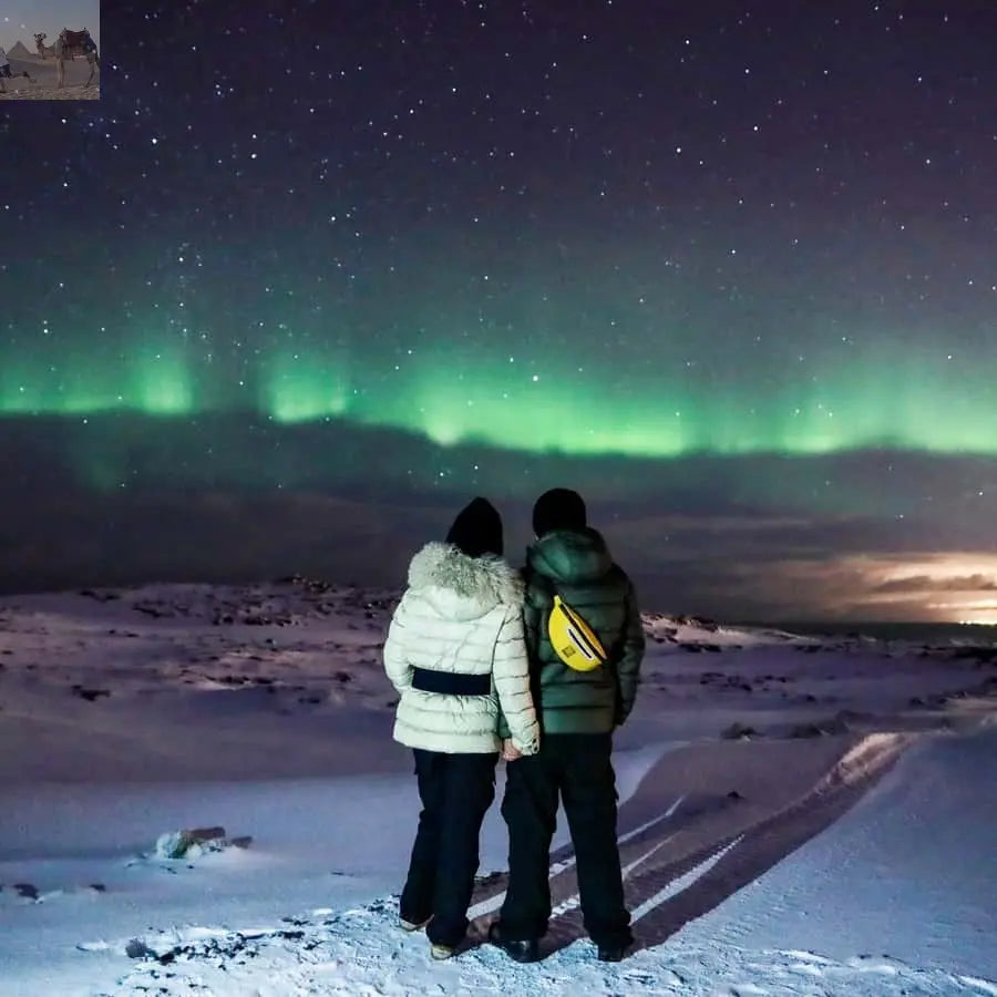 From Reykjavik Northern Lights Bus Tour with Hot Cocoa 