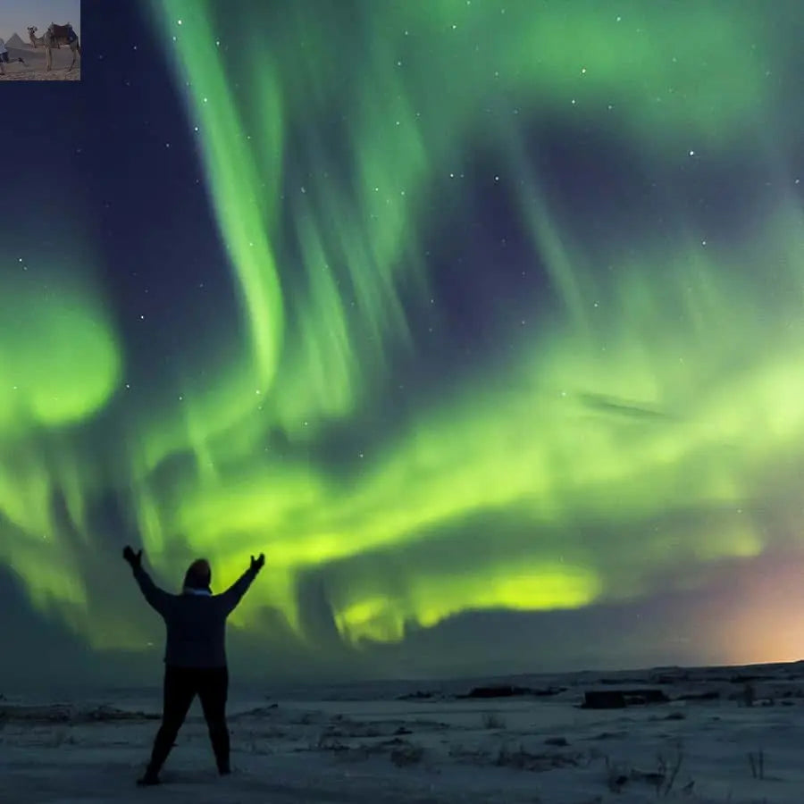 From Reykjavik Northern Lights Bus Tour with Hot Cocoa 