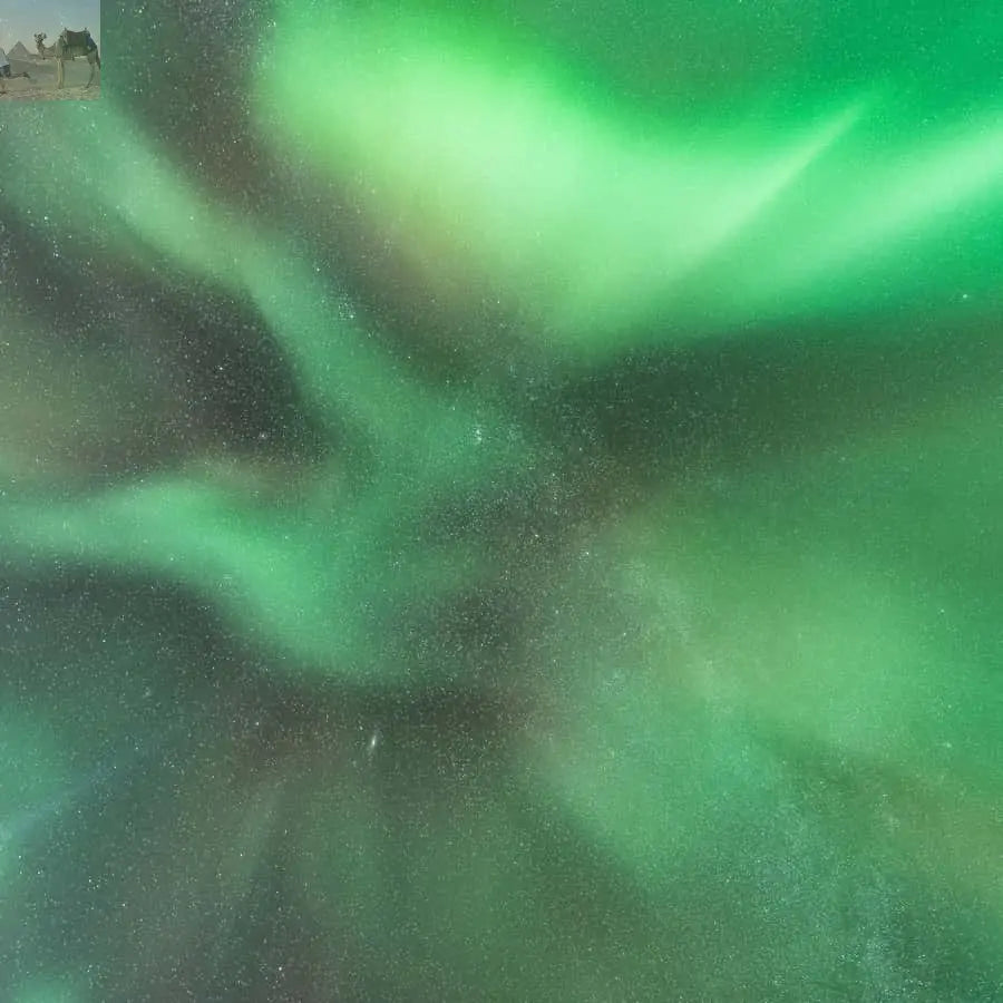 From Reykjavik Northern Lights Bus Tour with Hot Cocoa 