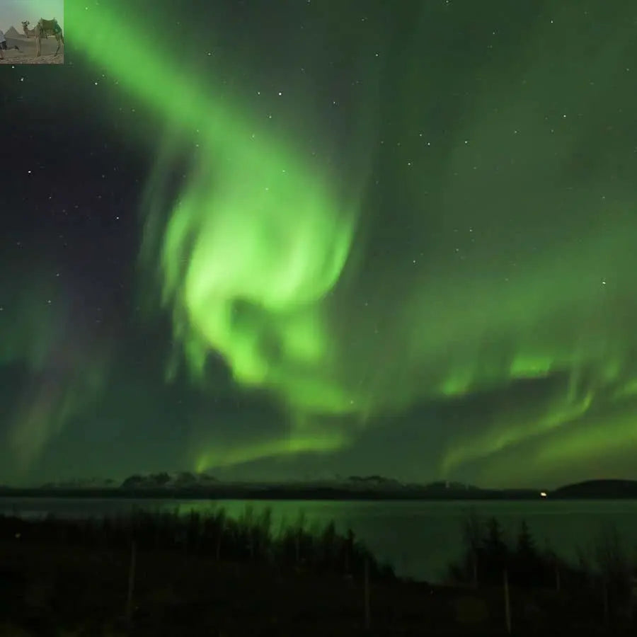 From Reykjavik Northern Lights Bus Tour with Hot Cocoa 