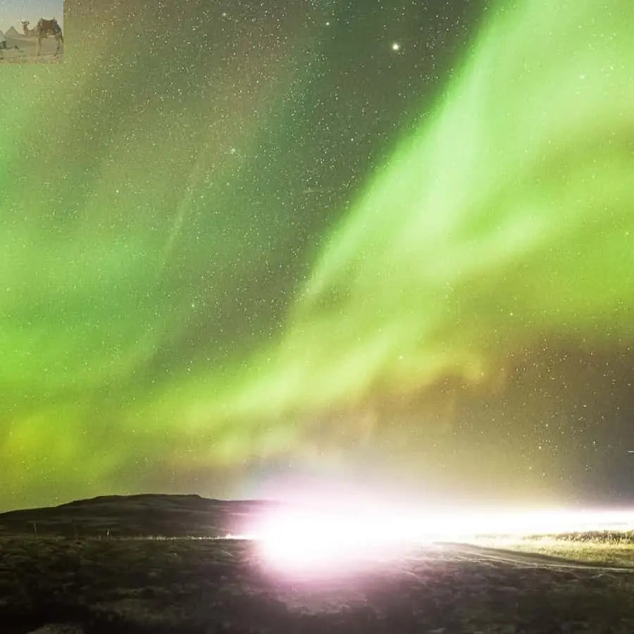 From Reykjavik Northern Lights Bus Tour with Hot Cocoa 