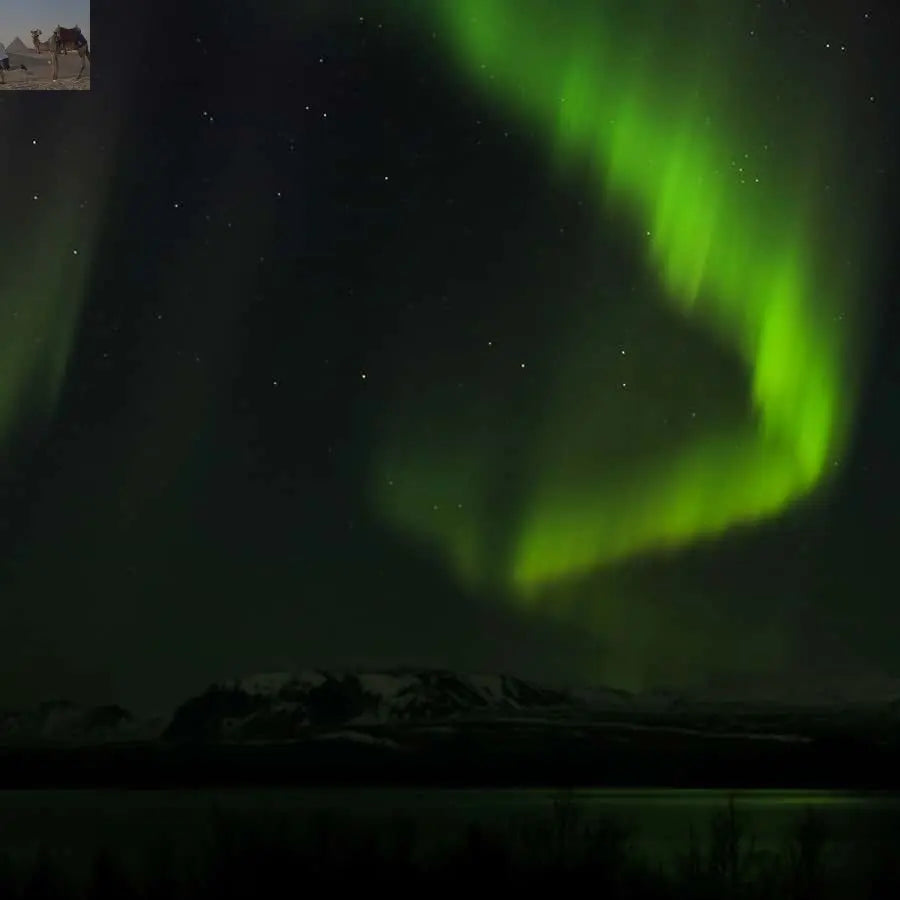 From Reykjavik Northern Lights Bus Tour with Hot Cocoa 