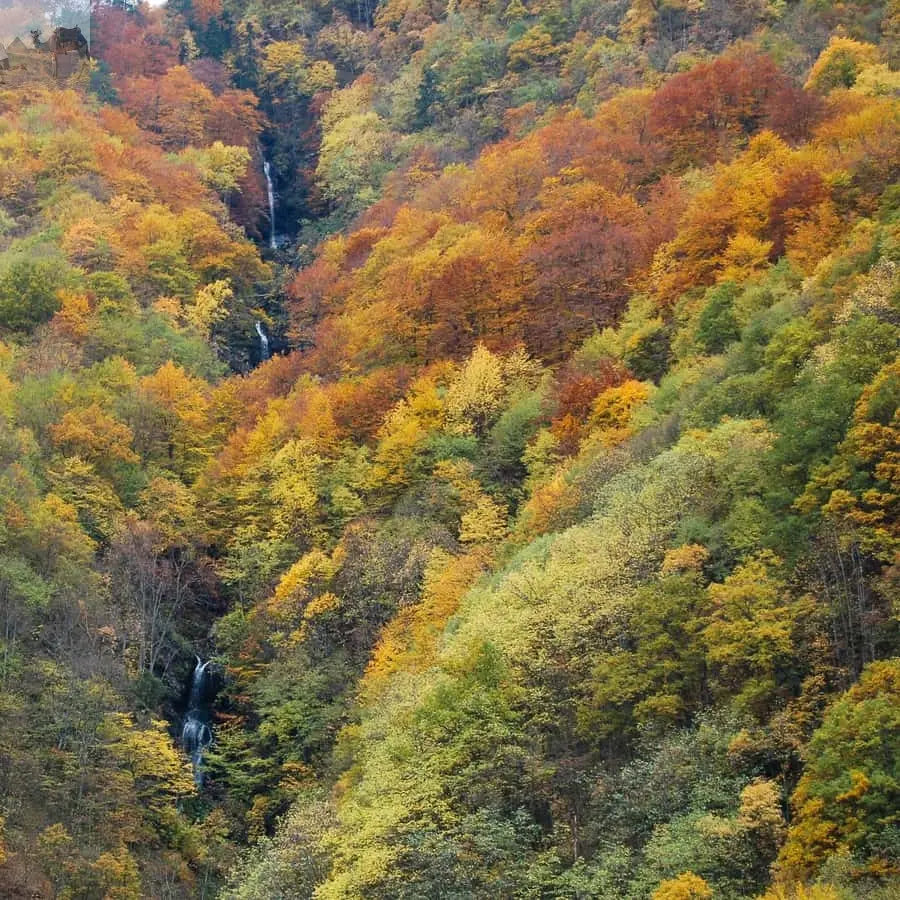 From Sofia Rila Monastery & Boyana Church Day Tour 