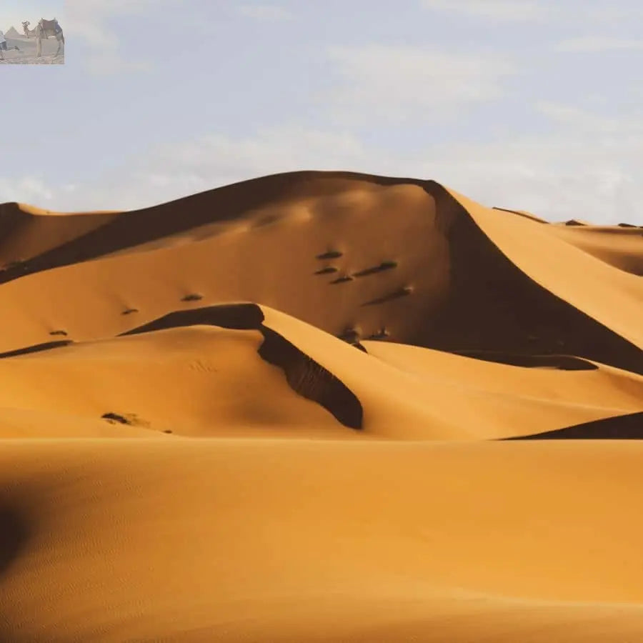 From Zagora Overnight Desert Tour to Erg Chigaga Camel ride 