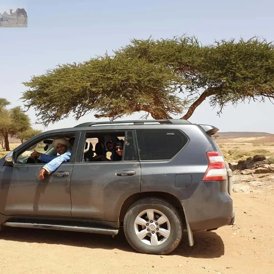 From Zagora Overnight Desert Tour to Erg Chigaga Camel ride 