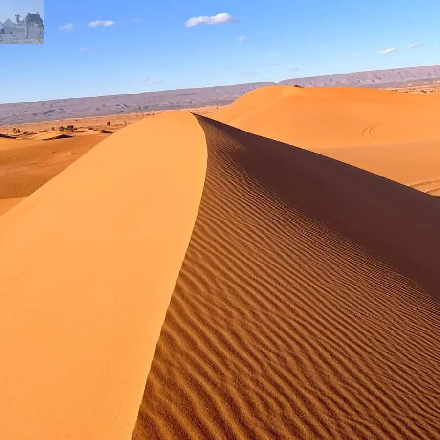 From Zagora Overnight Desert Tour to Erg Chigaga Camel ride 