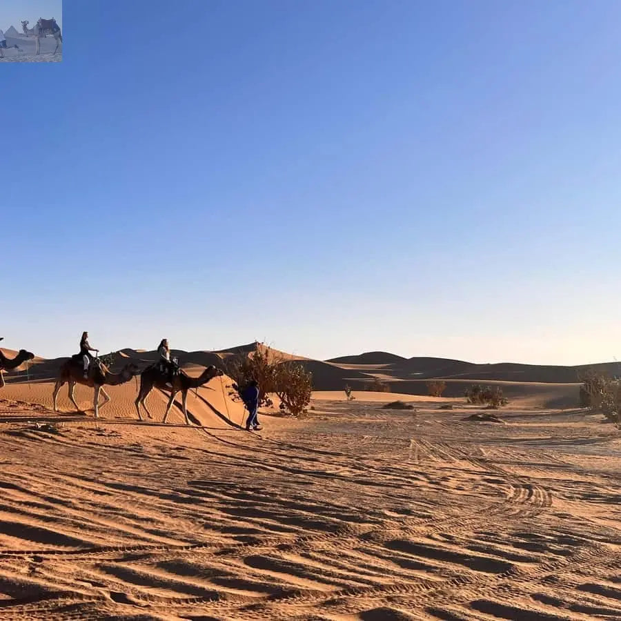 From Zagora Overnight Desert Tour to Erg Chigaga Camel ride 
