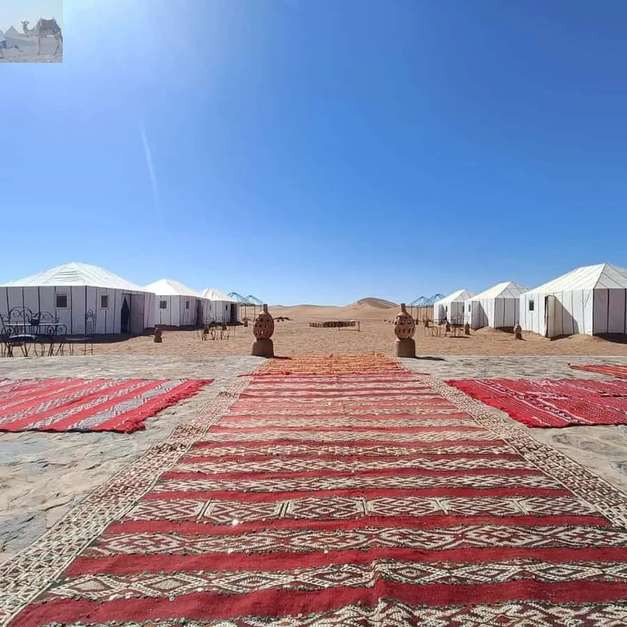 From Zagora Overnight Desert Tour to Erg Chigaga Camel ride 