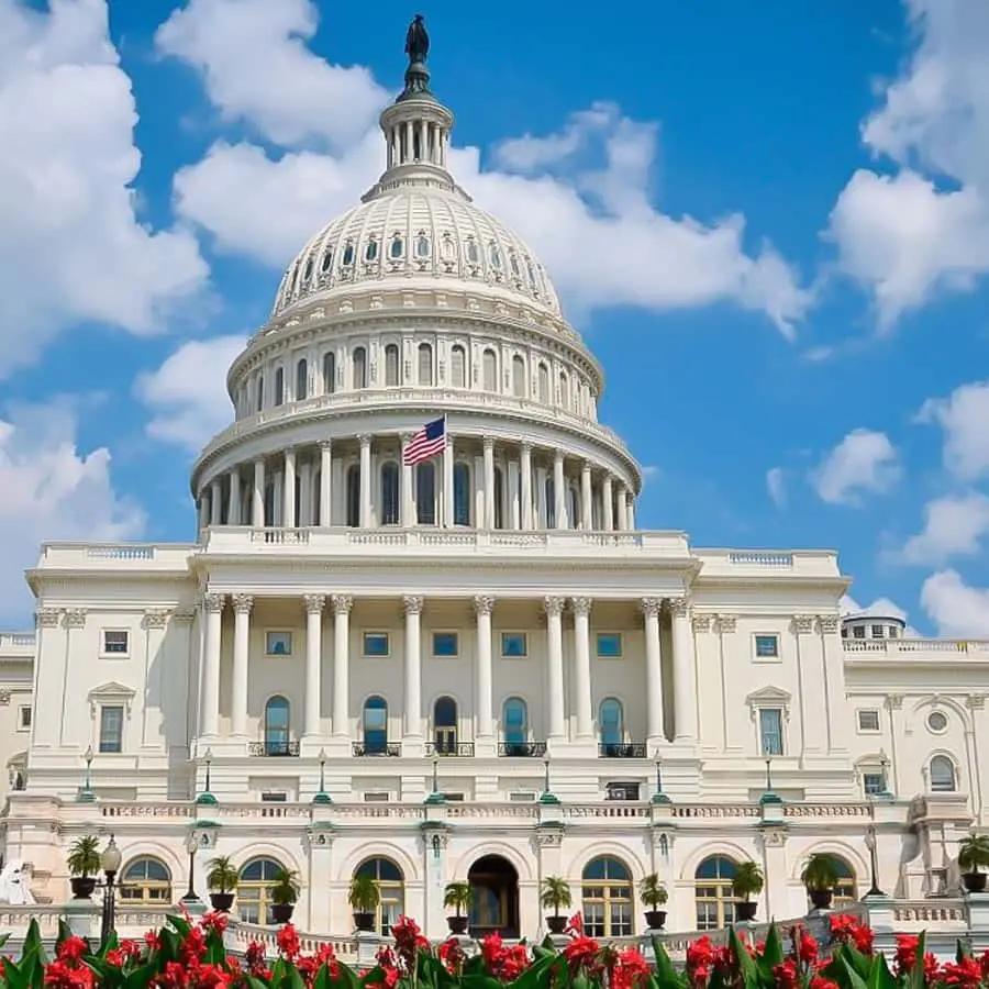 From NYC: Guided Day Trip to Washington DC by Van or Bus 