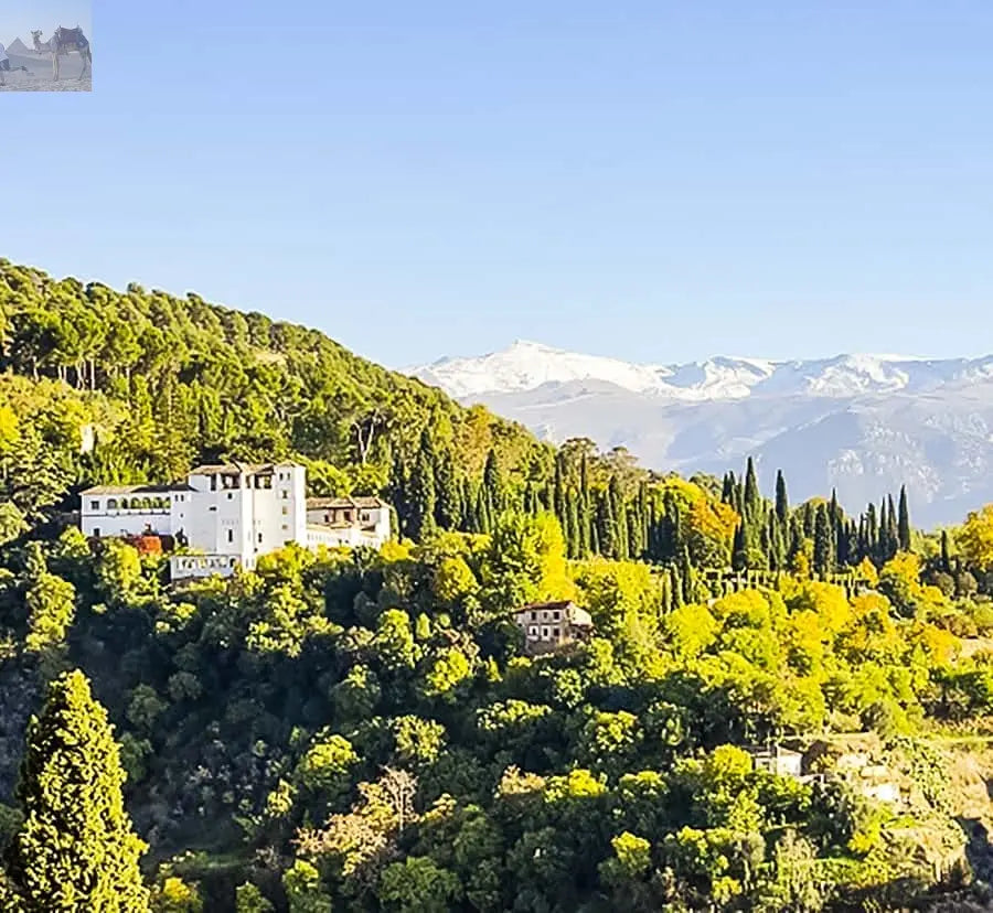 Granada Alhambra Nasrid Palaces Tour with Tickets 