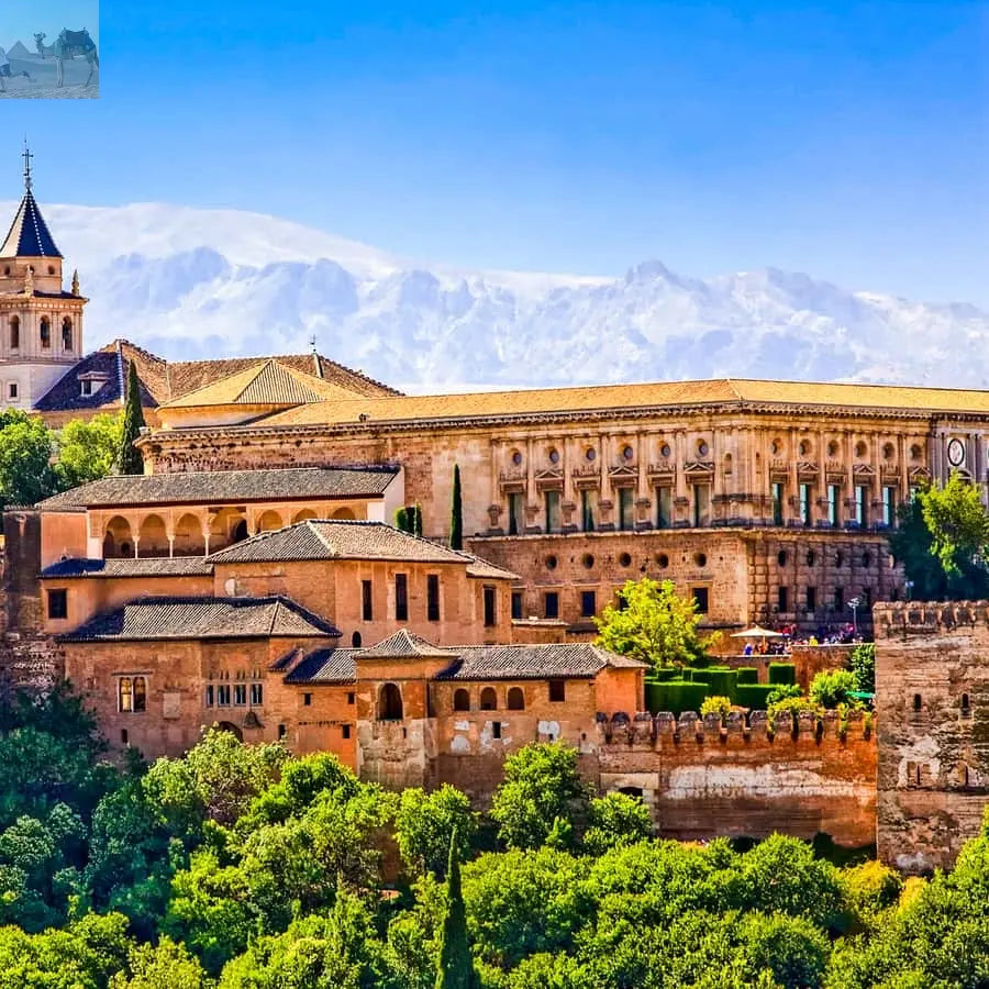 Granada Alhambra Nasrid Palaces Tour with Tickets 