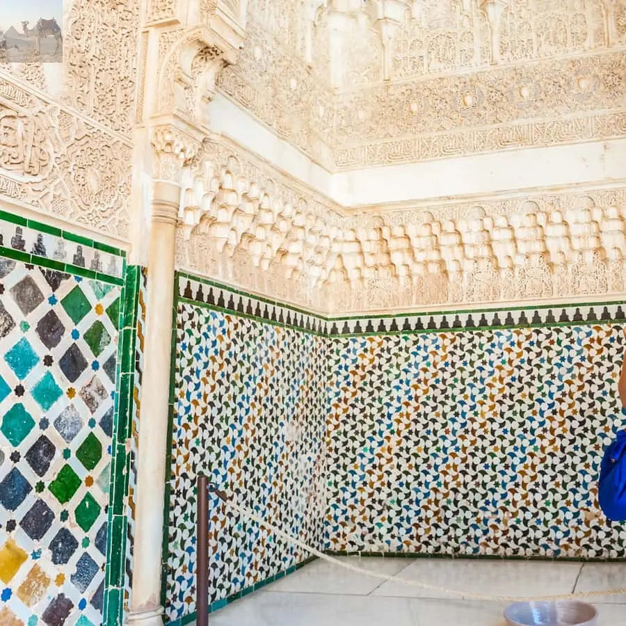 Granada Alhambra Nasrid Palaces Tour with Tickets 