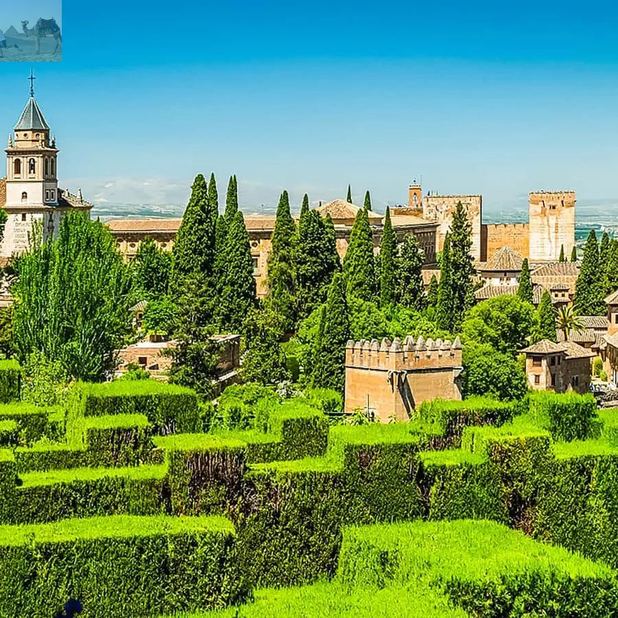 Granada Alhambra Nasrid Palaces Tour with Tickets 