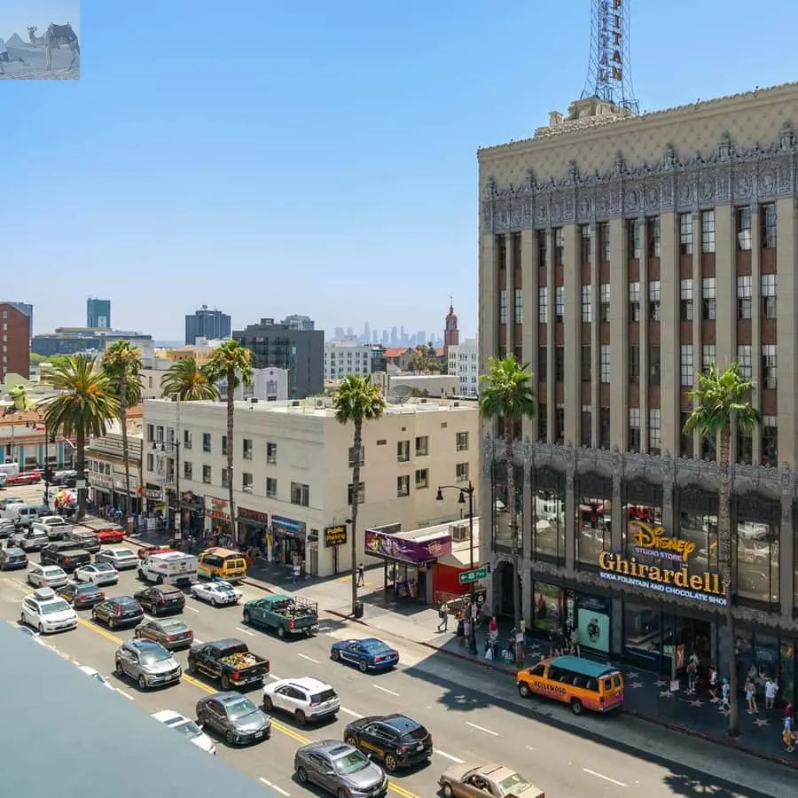 Hollywood, Beverly Hills & Celebrity Homes Open Air Bus 