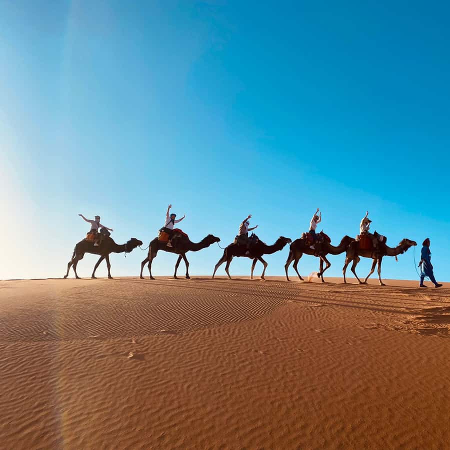 How much does a Merzouga desert tour cost