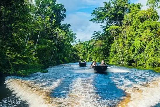 Iquitos: Amazon Adventure and Expedition