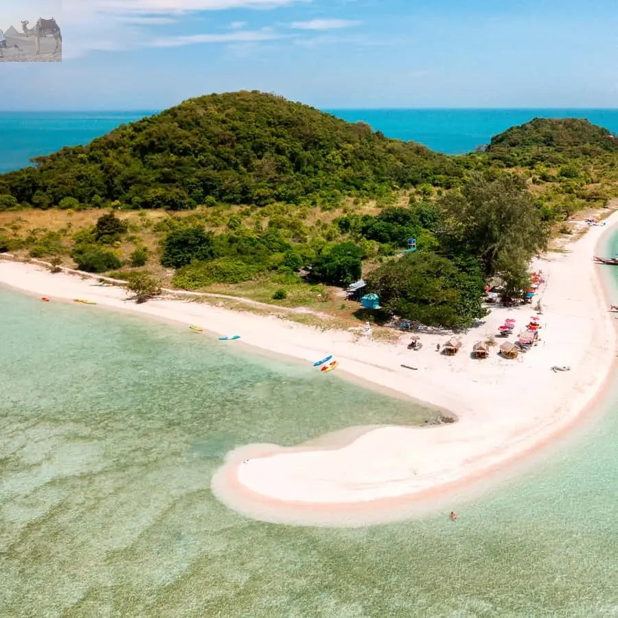 Koh Samui Pig Island & Koh Tan Snorkeling by Speed boat