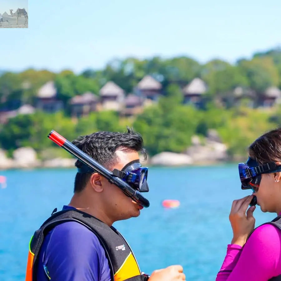 Koh Samui Pig Island & Koh Tan Snorkeling by Speed boat 