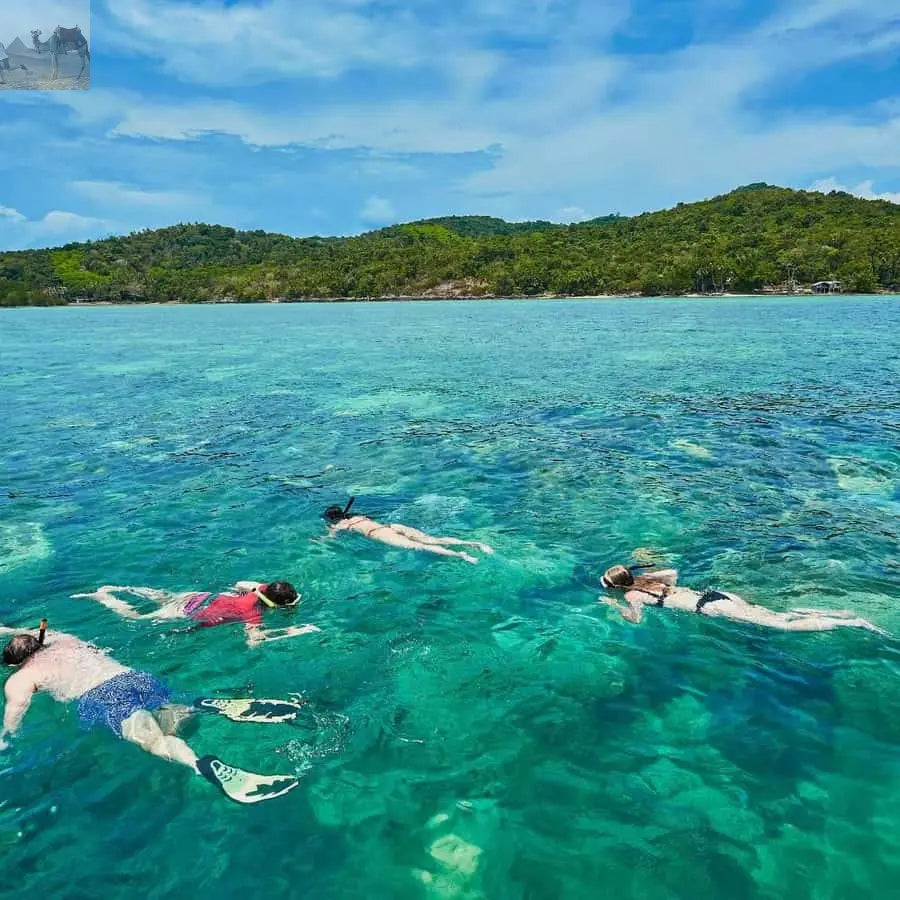 Koh Samui Pig Island & Koh Tan Snorkeling by Speed boat 