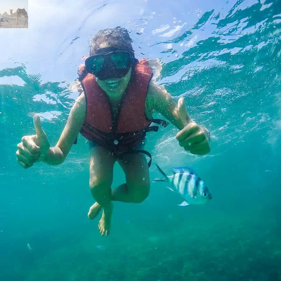 Koh Samui Pig Island & Koh Tan Snorkeling by Speed boat 