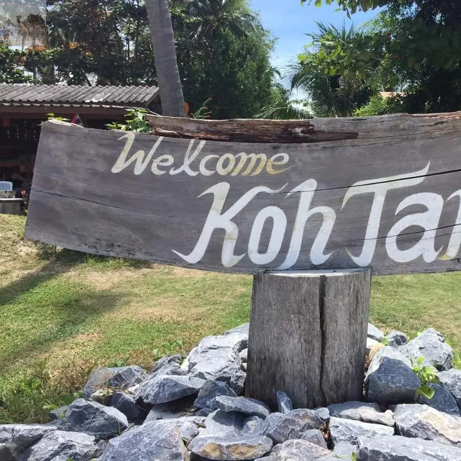 Koh Samui Pig Island & Koh Tan Snorkeling by Speed boat 