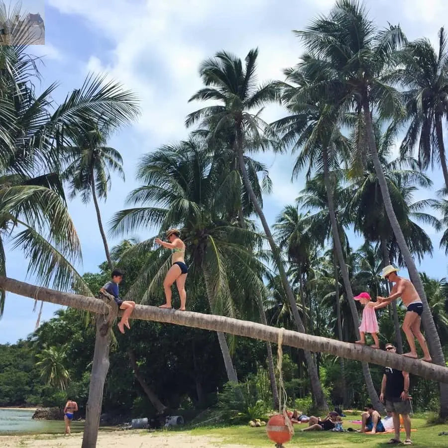 Koh Samui Pig Island & Koh Tan Snorkeling by Speed boat 