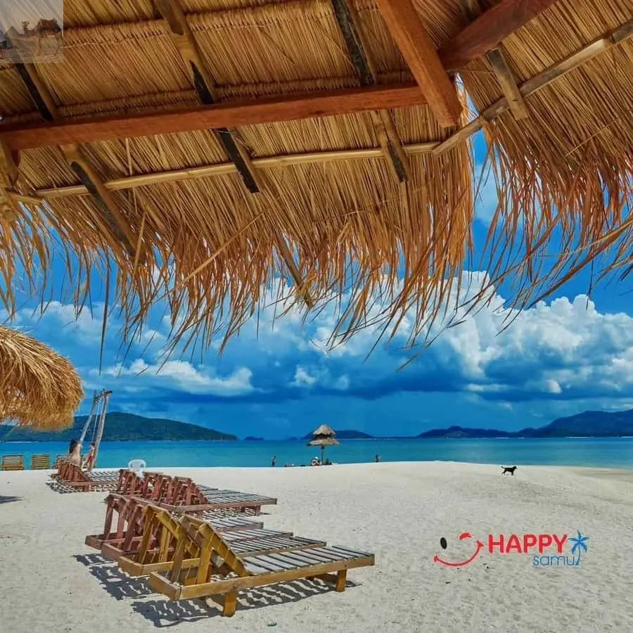 Koh Samui Pig Island & Koh Tan Snorkeling by Speed boat 