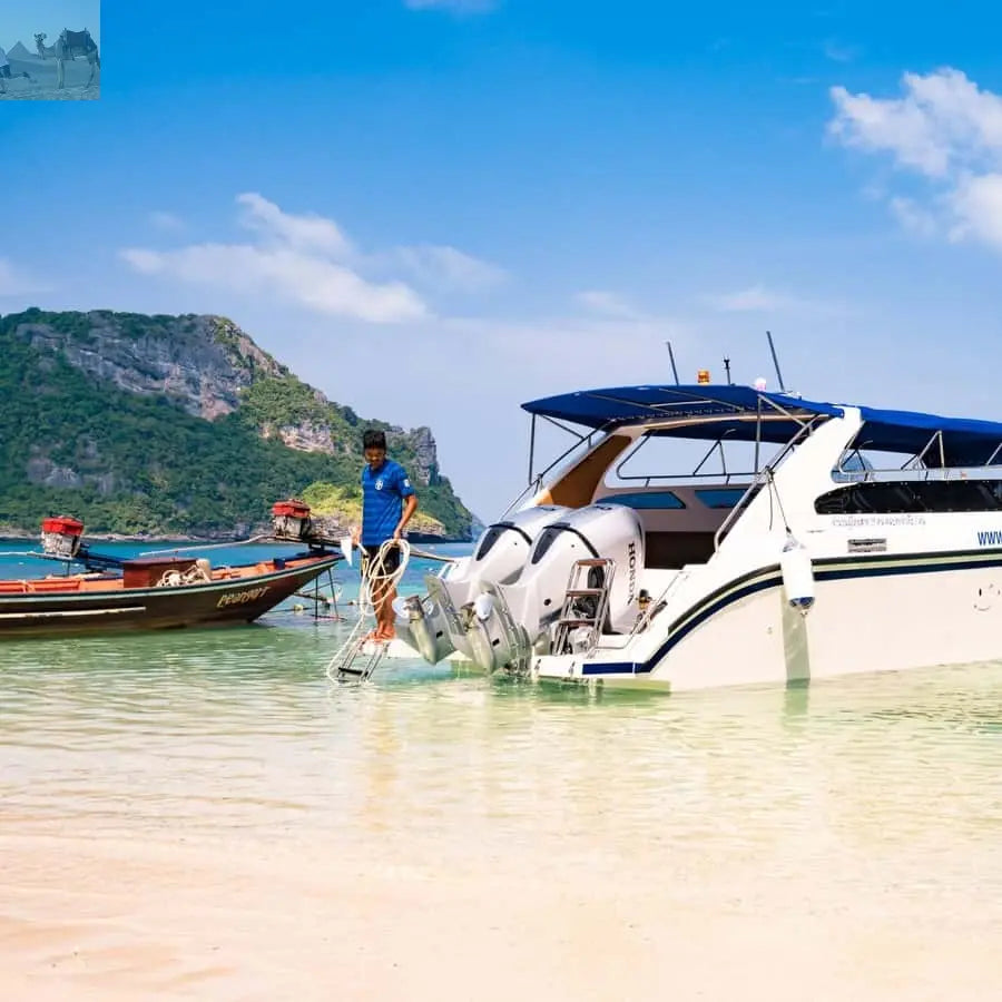 Koh Samui Pig Island & Koh Tan Snorkeling by Speed boat 