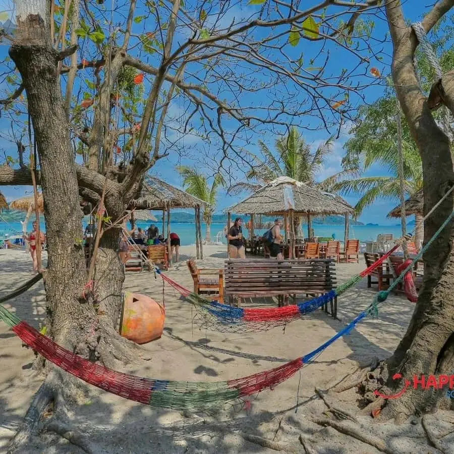 Koh Samui Pig Island & Koh Tan Snorkeling by Speed boat 