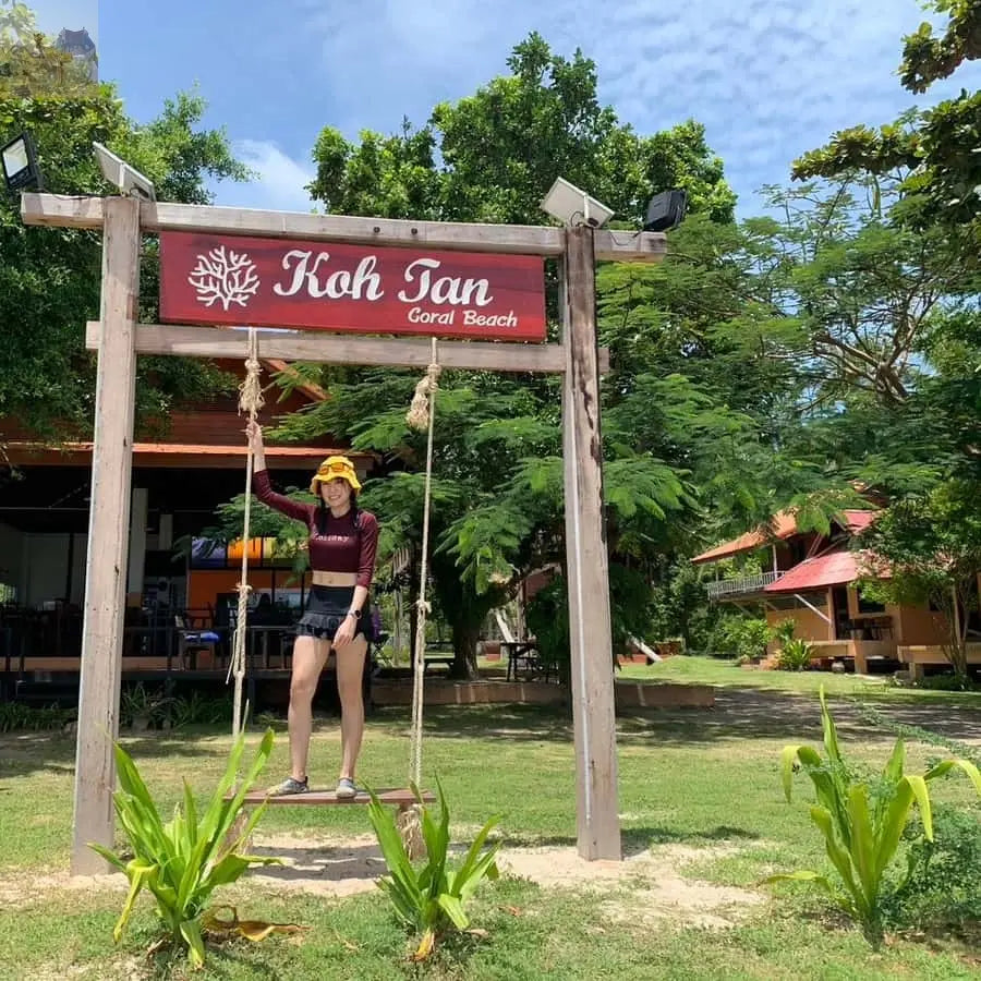 Koh Samui Pig Island & Koh Tan Snorkeling by Speed boat 