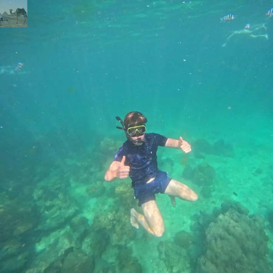 Koh Samui Pig Island & Koh Tan Snorkeling by Speed boat 