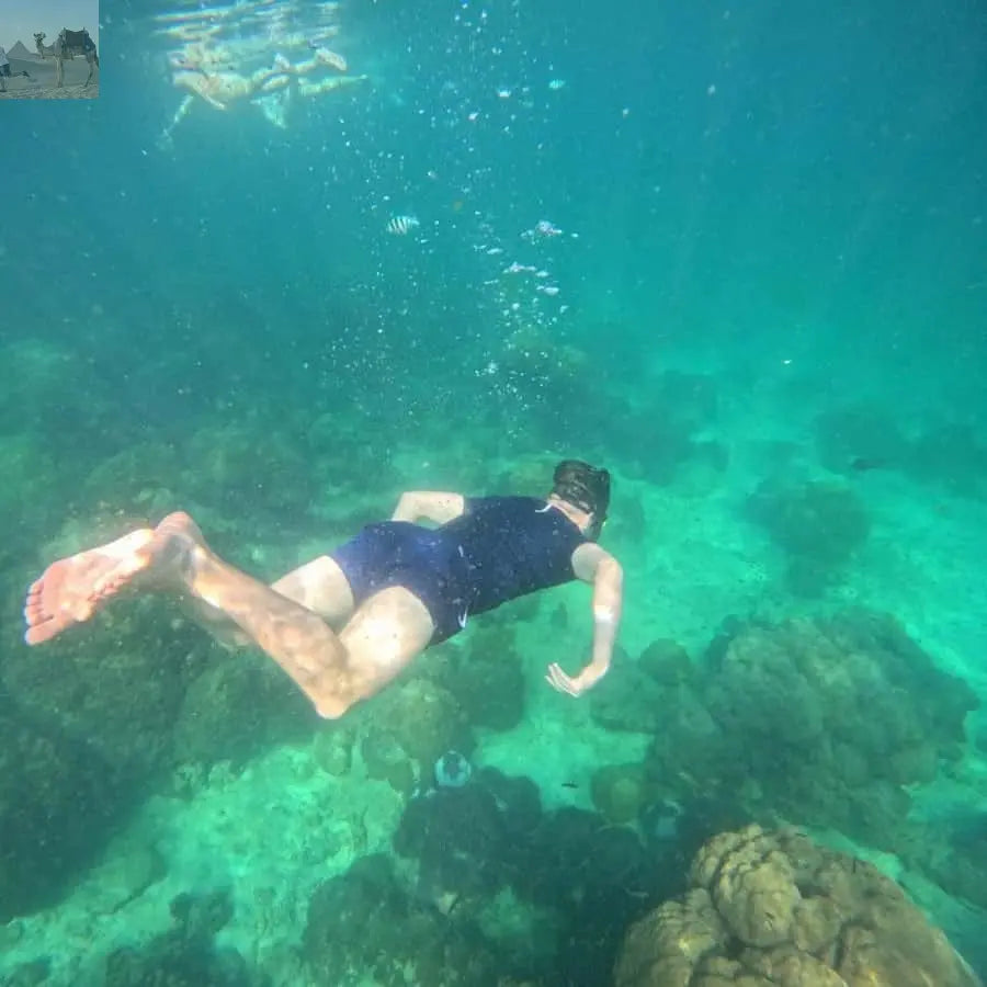 Koh Samui Pig Island & Koh Tan Snorkeling by Speed boat 