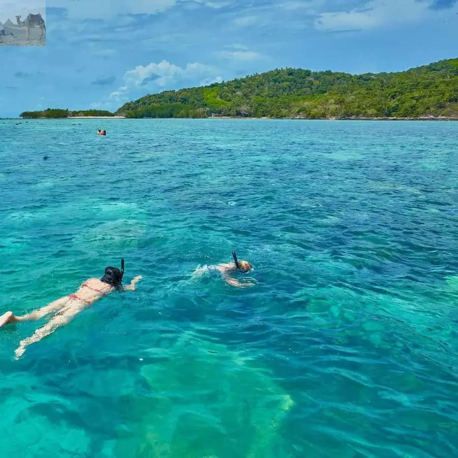 Koh Samui Pig Island & Koh Tan Snorkeling by Speed boat 