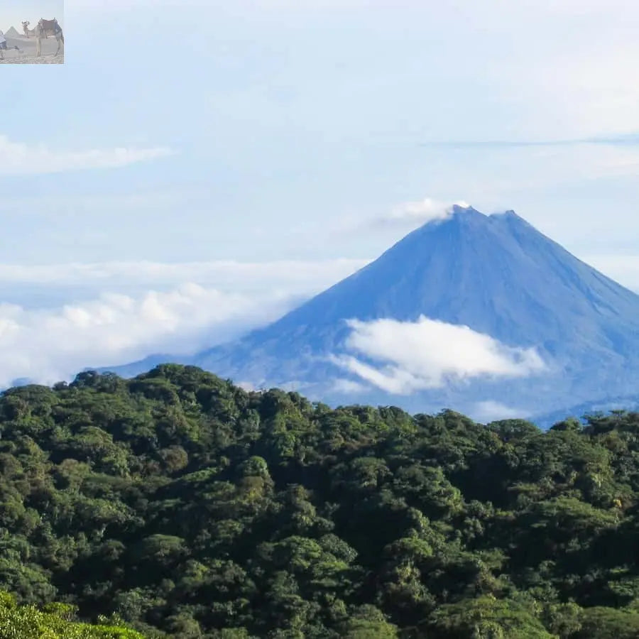 La Fortuna Waterfall Arenal Volcano and Hot Springs Tour 
