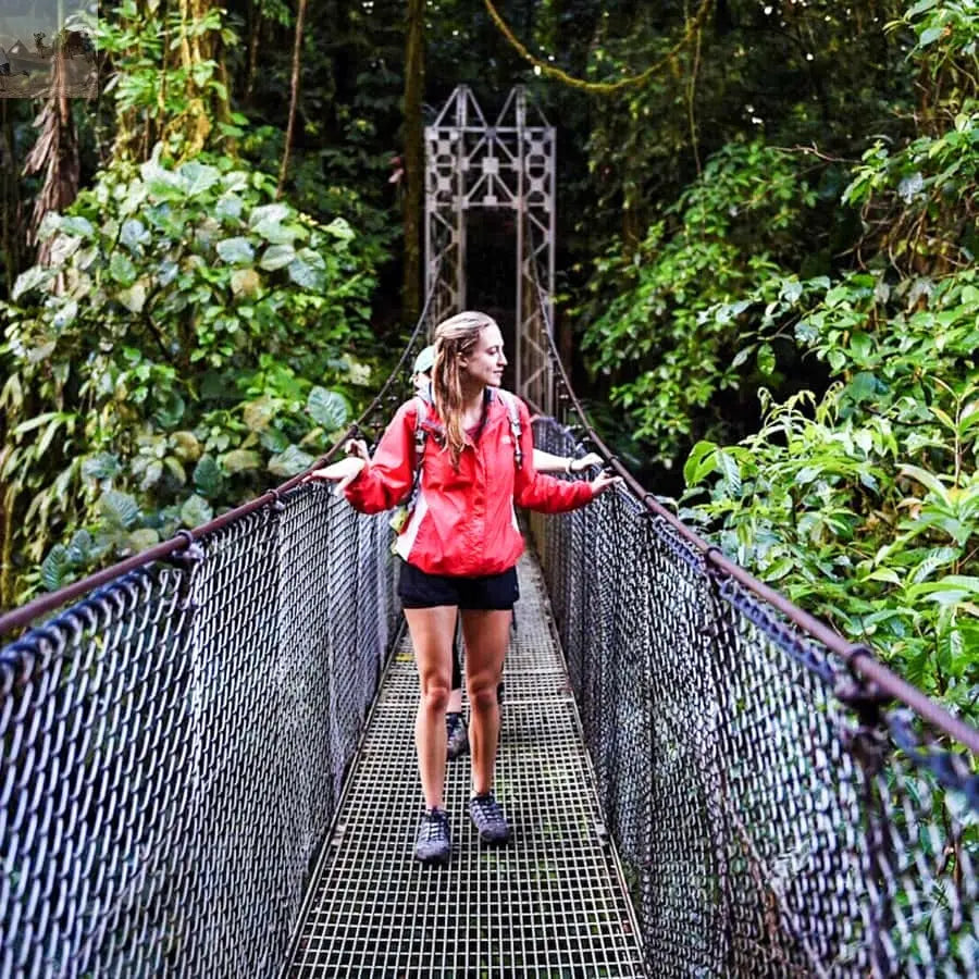 La Fortuna Waterfall Arenal Volcano and Hot Springs Tour 