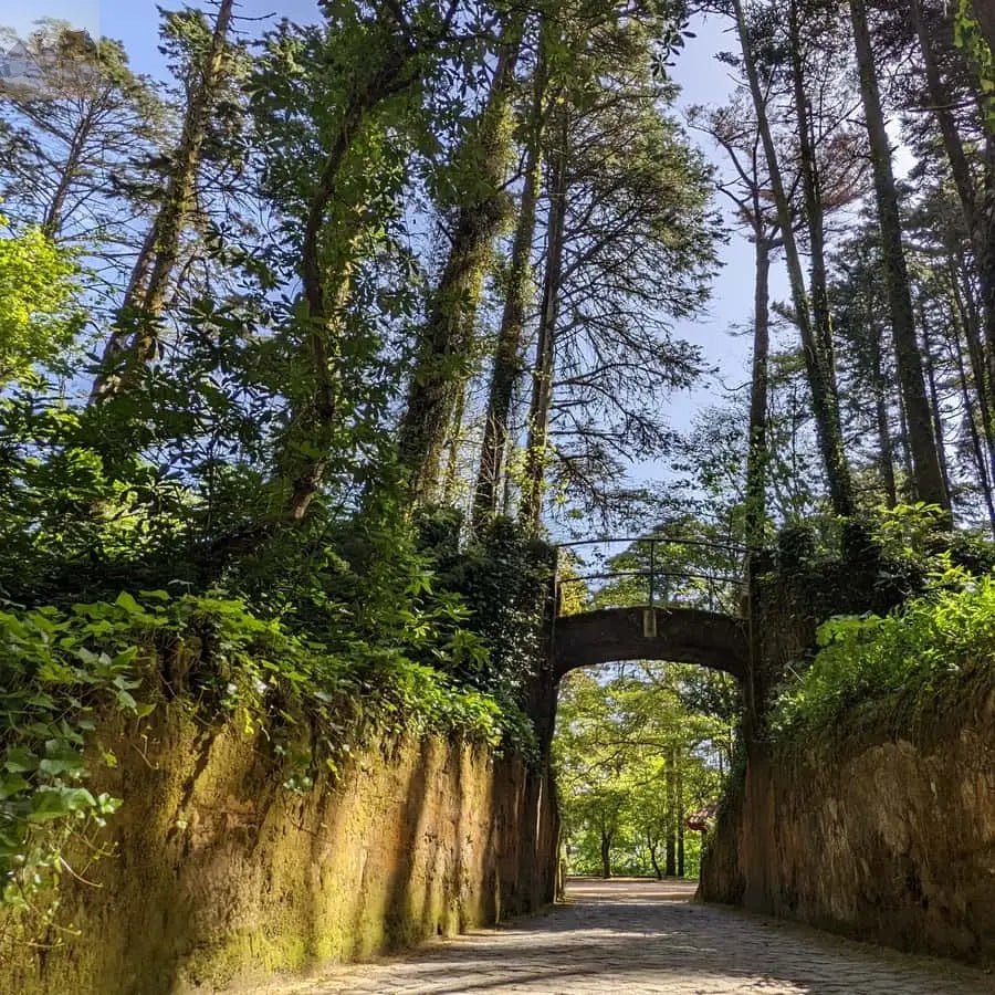 Lisbon Sintra, Pena, Regaleira Cabo da Roca Cascais 
